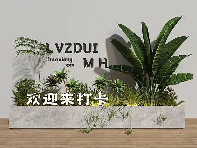 Various Bonsai Potted Plants in Concrete Planter with White Wall and Wooden Floor 3d model