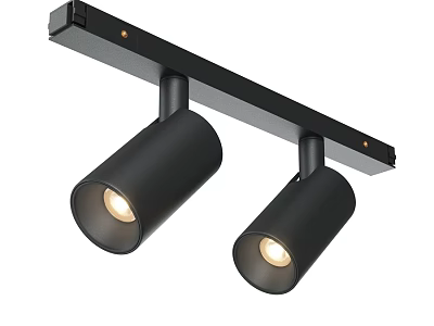 Black Track Mounted Spotlights Modern Design For Home Ceiling Lighting 3d model