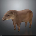 Pink Tapir 3D Model Standing on Gray Background with Reflective Surface 3d model