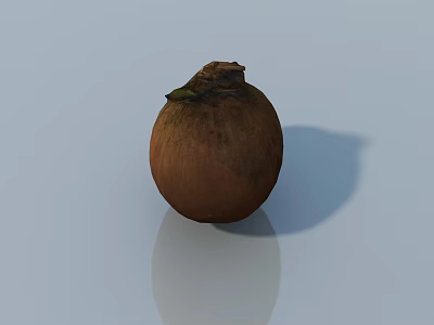 Brown Round Sculpture Carving With Textured Surface On Smooth Reflective Base 3d model