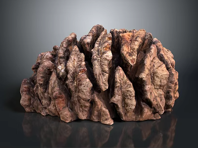 Organic Walnut Food With Rough Brown Texture And Natural Healthy Appearance 3d model