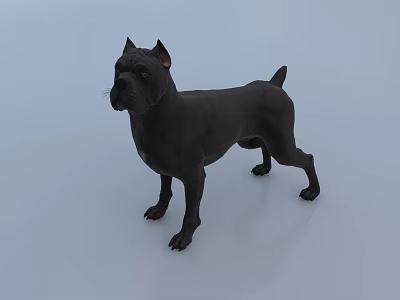 Black Reptile Standing On Light Blue Surface In Studio Environment 3d model