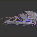Transparent Bird Skull 3D Rendering Showing Red And Blue Vascular Structures With Reflection 3d model
