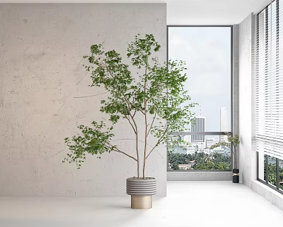 Large Green Potted Plant in Modern Interior With City View Through Window 3d model