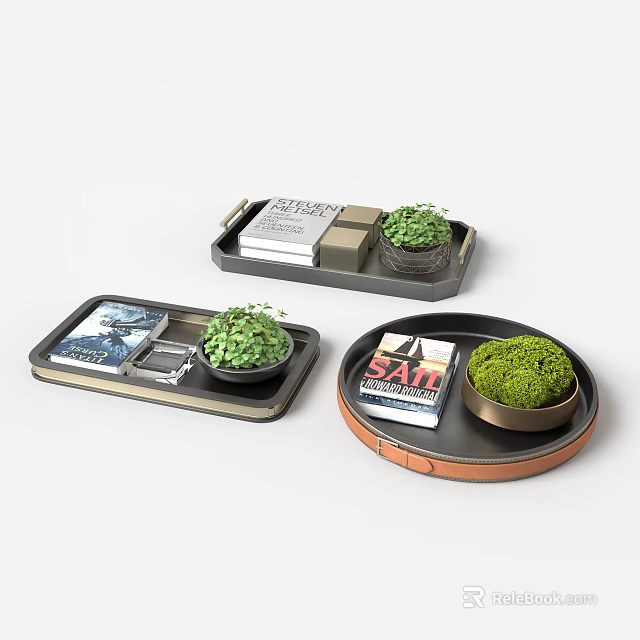 Decorative Ornament Set With Rectangular Round Trays Small Potted Plants And Magazines 3d model 