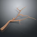 Natural Brown Wooden Branch With Multiple Twigs And Reflection On Dark Surface 3d model