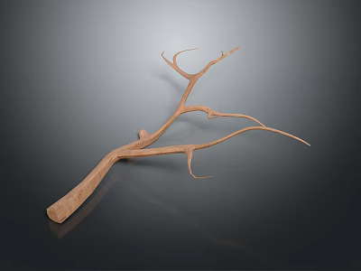 Natural Brown Wooden Branch With Multiple Twigs And Reflection On Dark Surface 3d model