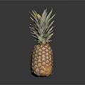 Fresh Ripe Pineapple With Leafy Top And Textured Fruit Body On Dark Background