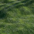 Delightful Garden Ornament With Lush Green Grass Tiny White Flowers And Sunlight Shadows