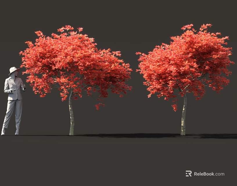 Person Standing Beside Tall Lush Red Leaf Shrubs Against Gray Background 3d model 