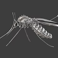 Smart Machine Mechanical Mosquito With Metallic Body And Detailed Wings Legs Structure