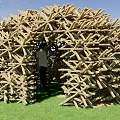 Intersecting Wooden Construction Elements Forming Dome Shaped Outdoor Structure On Grassy Area