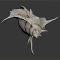 Conch Marine Animal With White Spiral Shell And Spiky Protrusions On Dark Background