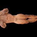 Brown Amphibian with Rough Skin and Long Tail on Black Background