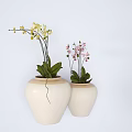Decorative Vases With Colorful Flowers And Green Plants For Home Decoration