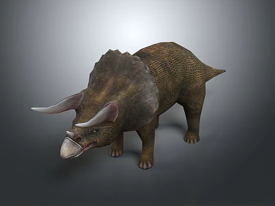 Triceratops Dinosaur With Large Horns Frill And Textured Skin On Gray Background 3d model