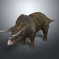 Triceratops Dinosaur With Large Horns Frill And Textured Skin On Gray Background
