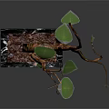 Decorative Potted Plant With Curved Brown Trunk Green Leaves And Black Marble Base
