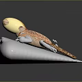 Orange and White Spotted Lizard with Yellow Head Structure on White Rock Against Dark Background