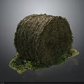 Natural Hay Bale With Green Plants Growing At Base On Dark Background