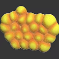 Yellow Spherical Organ Structure With Hair Like Textures And Shiny Surface Features