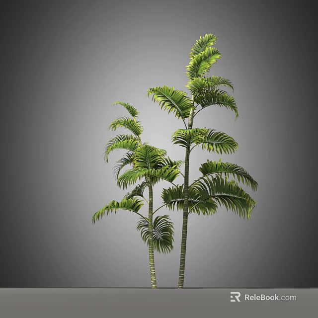 Tall Arbor With Lush Green Foliage And Slender Trunks In Natural Setting 3d model 