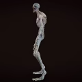 Zombie Monster Character Mutant Creature Walking Dead Zombie Game Character 3d model