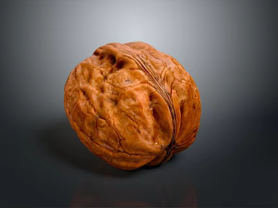 Close Up Of Single Whole Brown Walnut With Textured Surface On Gray Background 3d model