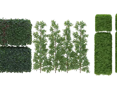 Various Green Shrubs Featuring Trimmed Hedges Different Shapes and Decorative Foliage 3d model