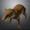Small Brown Mammal With Long Snout Sharp Claws In Standing 3D Pose On Dark Background