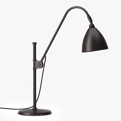 Dark Toned Floor Lamp With Adjustable Arm And Minimalist Design 3d model