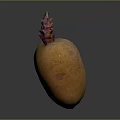 Orange root vegetable with purple red sprouts on top placed on smooth gray surface