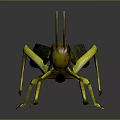 Modern grasshopper insect cartoon locust 3d model