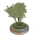 Outdoor Landscape Seat With Circular Wooden Concrete Base And Green Tree Grass Design