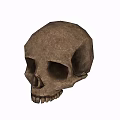 Bronze Tone Skull Decorative Ornament Set For Home Decor Display Pieces