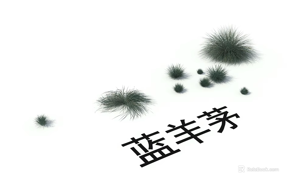Festuca glauca ornamental grass with feathery blue foliage for garden landscaping 3d model 