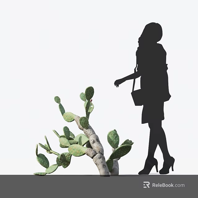 Cactus Bonsai Plant With Silhouette Of A Woman In High Heels Approaching Against White Background 3d model 