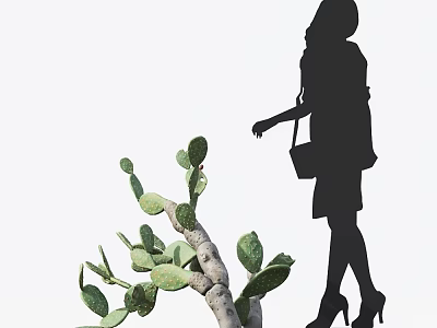 Cactus Bonsai Plant With Silhouette Of A Woman In High Heels Approaching Against White Background 3d model