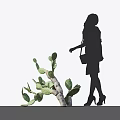Cactus Bonsai Plant With Silhouette Of A Woman In High Heels Approaching Against White Background