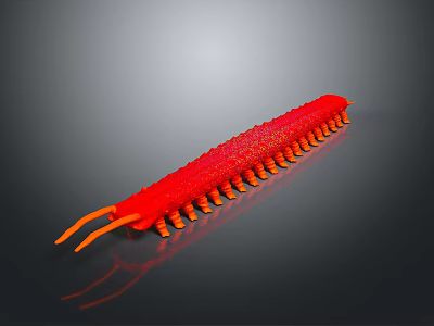 Vibrant Red Multi legged Creature With Segmented Body And Antennae Against Dark Background 3d model