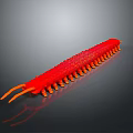 Vibrant Red Multi legged Creature With Segmented Body And Antennae Against Dark Background 3d model