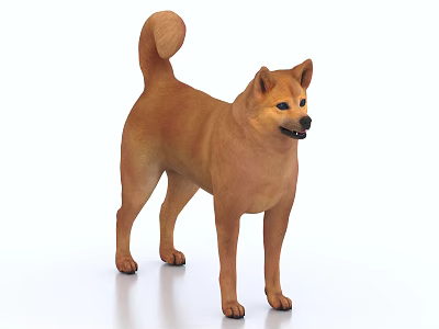 Brown Dog Standing In Alert Posture With Smooth Fur And Curled Tail 3d model