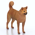 Brown Dog Standing In Alert Posture With Smooth Fur And Curled Tail