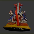 Human Heart Anatomical Model With Red Blue Blood Vessels On Yellow Base