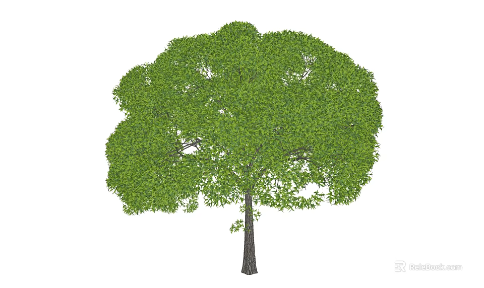 Lush Green Arbor With Dense Foliage And Strong Trunk In Natural Scene 3d model 