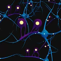 Neural Organizational System With Glowing Synapses Neurons And Interconnected Network Structure