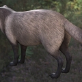 Modern Smokie Animal Creatures 3d model