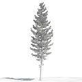 Tall Arbor With White Covered Branches Standing Against Blue Sky And Clouds 3d model