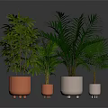 Indoor Green Plants In Colorful Pots With Lush Leaves And Different Varieties