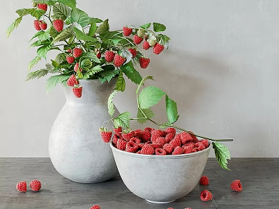 Gray Concrete Decorative Ornament Set With Raspberries Leaves Vase And Bowl 3d model
